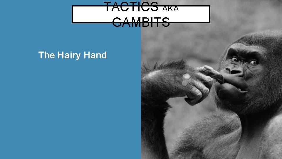 TACTICS AKA GAMBITS The Hairy Hand 