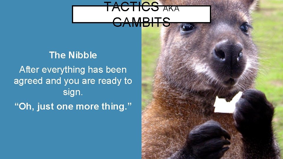 TACTICS AKA GAMBITS The Nibble After everything has been agreed and you are ready