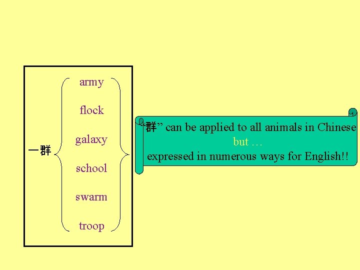 army flock 一群 galaxy school swarm troop “群” can be applied to all animals