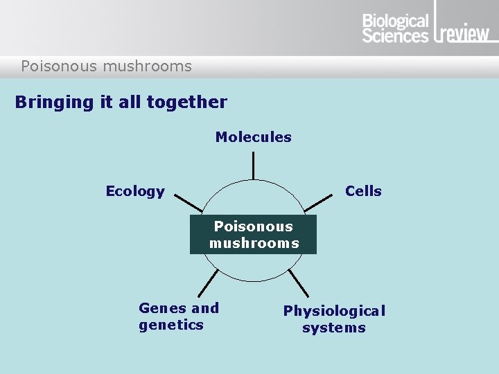 Poisonous mushrooms Bringing it all together Molecules Ecology Cells Poisonous mushrooms Genes and genetics