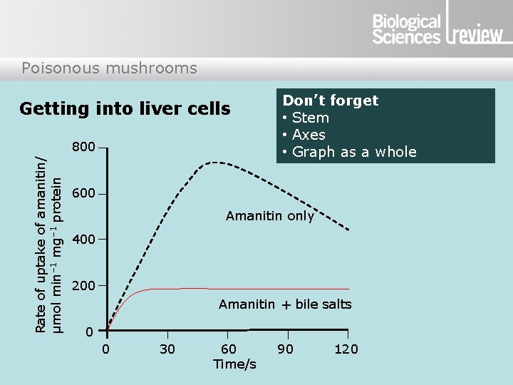 Poisonous mushrooms Rate of uptake of amanitin/ µmol min– 1 mg– 1 protein Getting