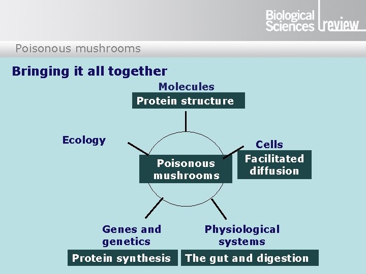 Poisonous mushrooms Bringing it all together Molecules Protein structure Ecology Poisonous mushrooms Genes and