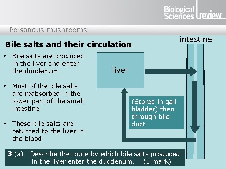 Poisonous mushrooms Bile salts and their circulation • Bile salts are produced in the