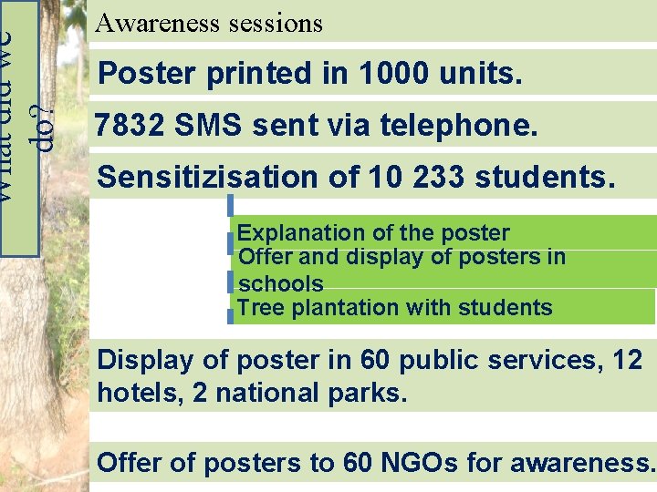 What did we do? Awareness sessions Poster printed in 1000 units. 7832 SMS sent