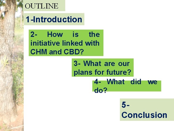 OUTLINE 1 -Introduction 2 - How is the initiative linked with CHM and CBD?