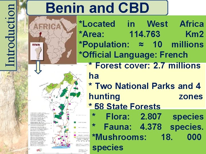 Introduction Benin and CBD *Located in West Africa *Area: 114. 763 Km 2 *Population: