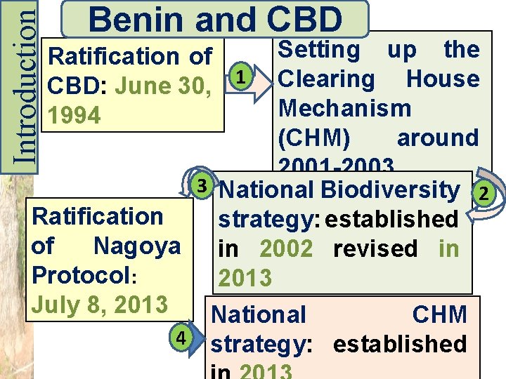 Introduction Benin and CBD Setting up the Clearing House Mechanism (CHM) around 2001 -2003