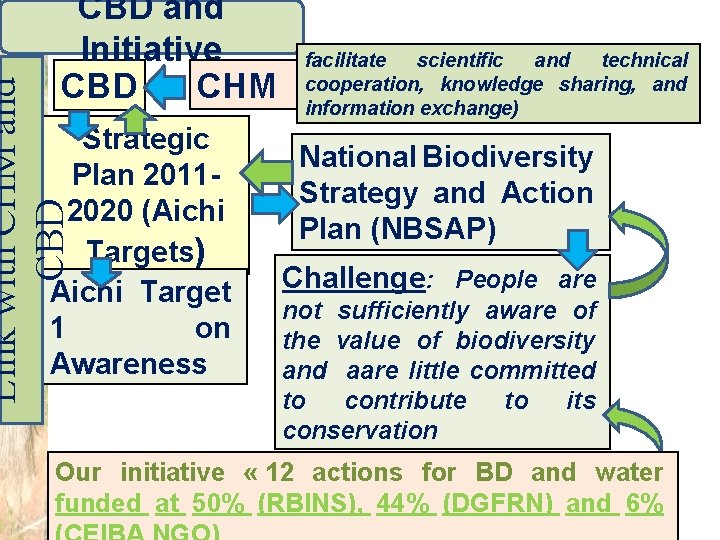 Link with CHM and CBD and Initiative CHM CBD Strategic Plan 20112020 (Aichi Targets)