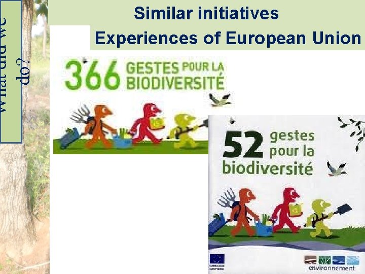 What did we do? Similar initiatives Experiences of European Union 