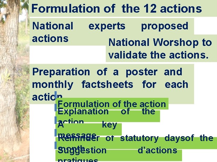 Formulation of the 12 actions National actions experts proposed National Worshop to validate the