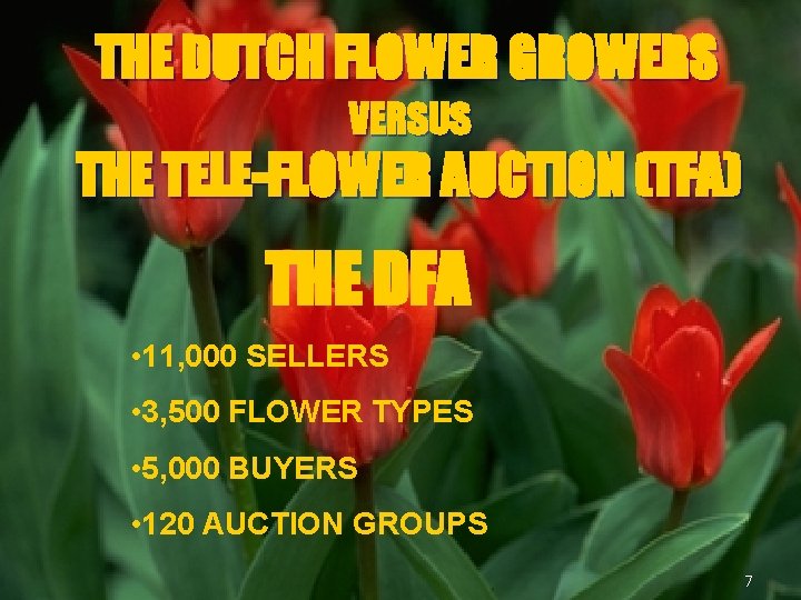 THE DUTCH FLOWER GROWERS VERSUS THE TELE-FLOWER AUCTION (TFA) THE DFA • 11, 000
