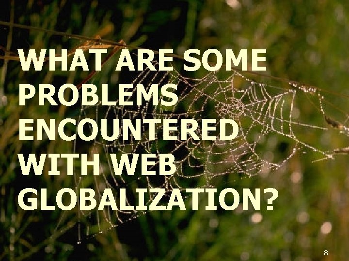 WHAT ARE SOME PROBLEMS ENCOUNTERED WITH WEB GLOBALIZATION? 8 