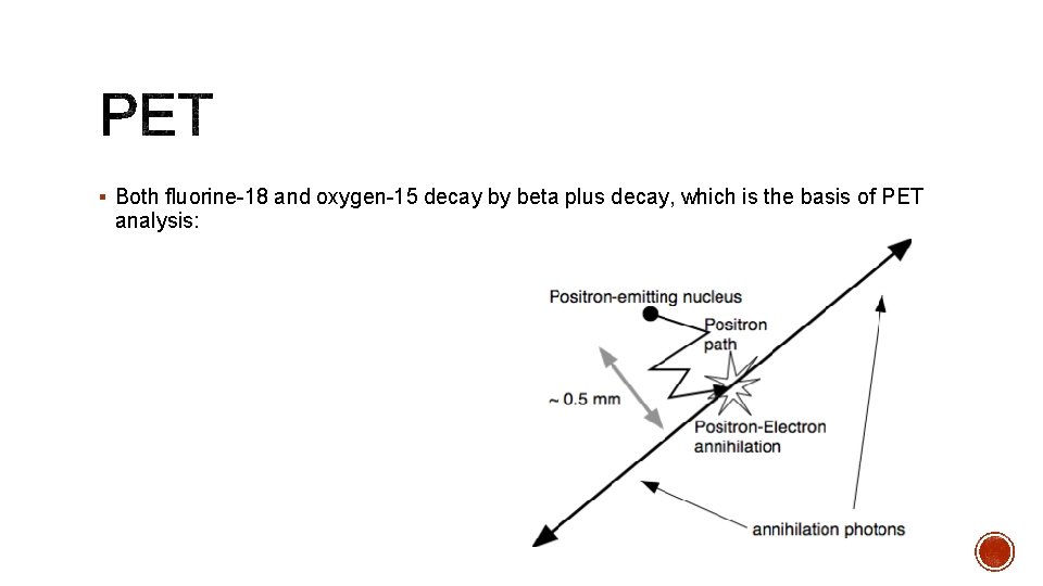 § Both fluorine-18 and oxygen-15 decay by beta plus decay, which is the basis