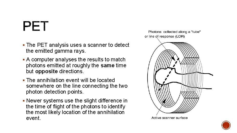 § The PET analysis uses a scanner to detect the emitted gamma rays. §