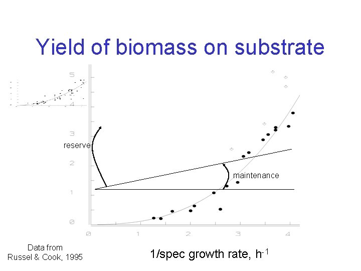 Yield of biomass on substrate reserve maintenance Data from Russel & Cook, 1995 1/spec