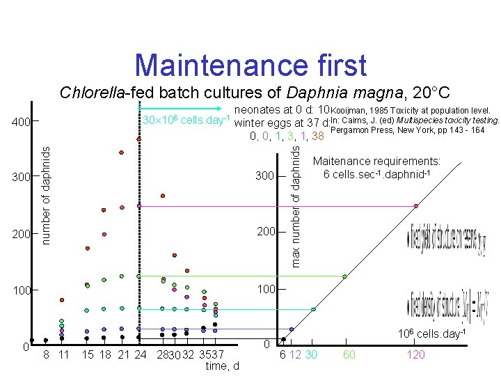 Maintenance first Chlorella-fed batch cultures of Daphnia magna, 20°C 300 200 neonates at 0