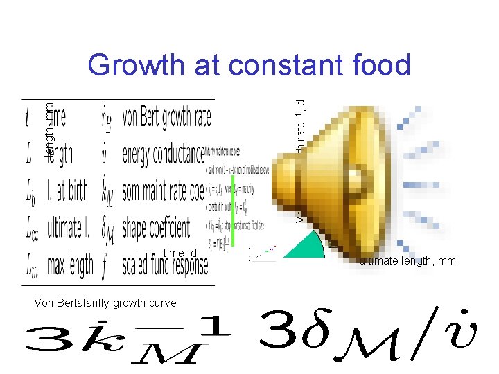 length, mm Von Bert growth rate -1, d Growth at constant food time, d