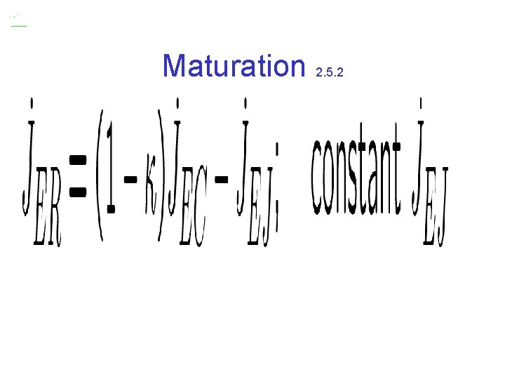 Maturation 2. 5. 2 