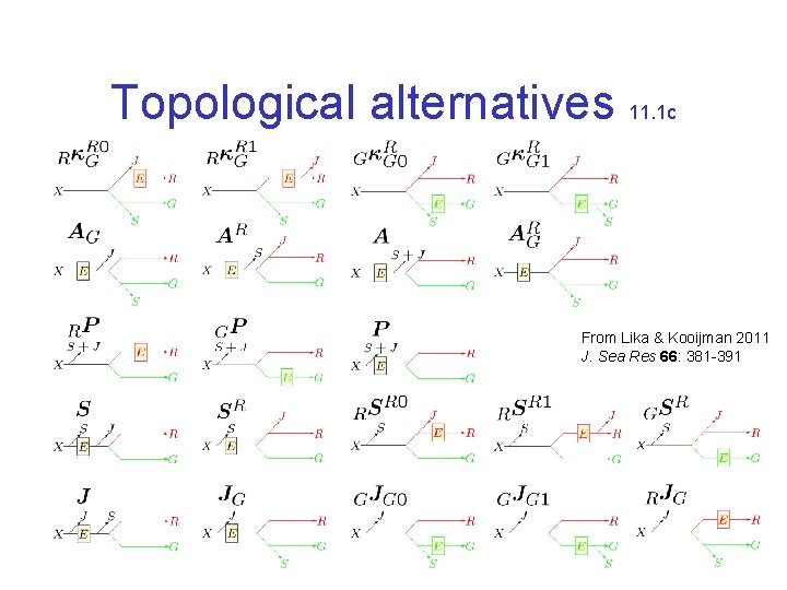 Topological alternatives 11. 1 c From Lika & Kooijman 2011 J. Sea Res 66: