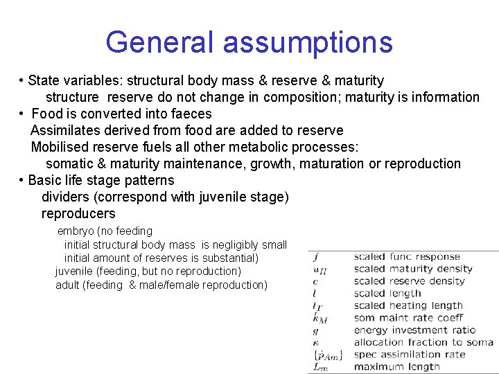 General assumptions • State variables: structural body mass & reserve & maturity structure reserve