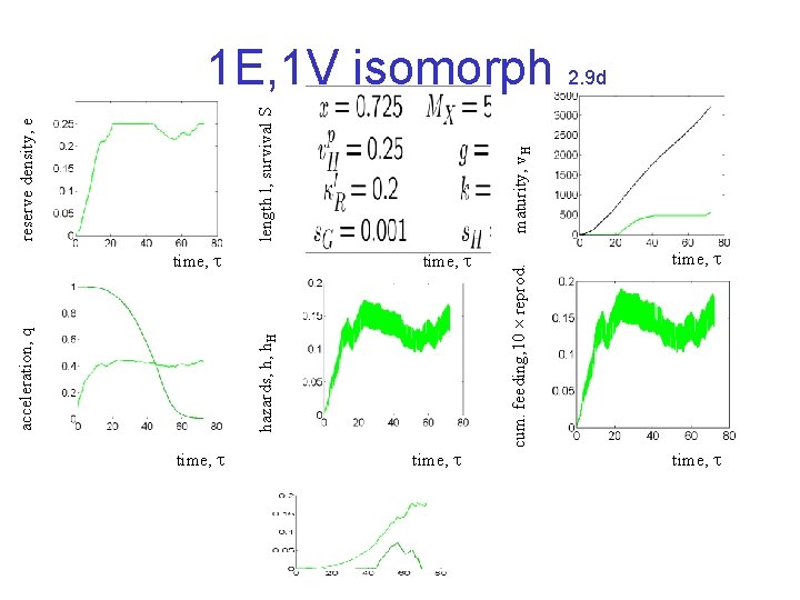 time, cum. feeding, 10 reprod. hazards, h, h. H acceleration, q maturity, v. H