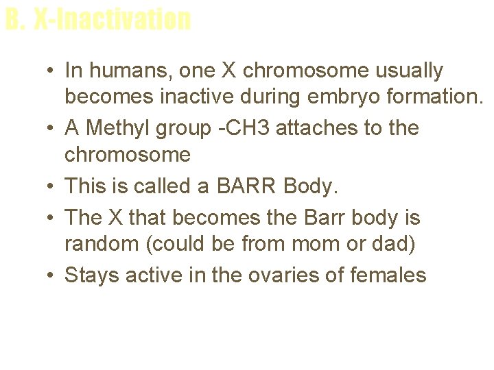 B. X-Inactivation • In humans, one X chromosome usually becomes inactive during embryo formation.