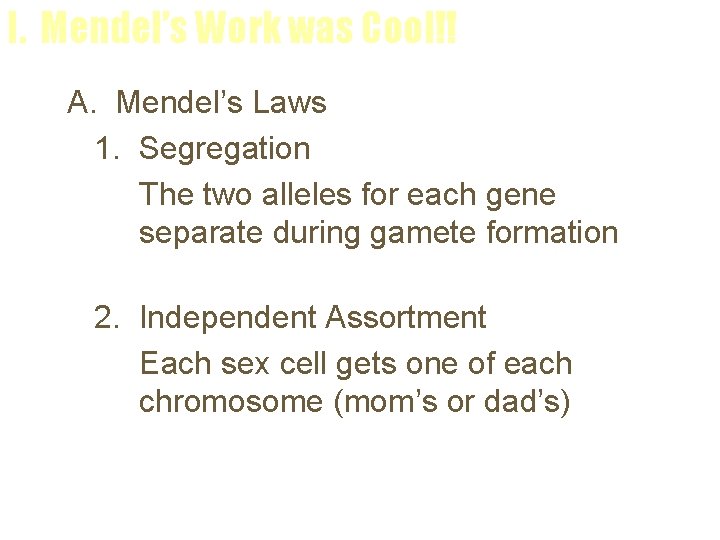 I. Mendel’s Work was Cool!! A. Mendel’s Laws 1. Segregation The two alleles for