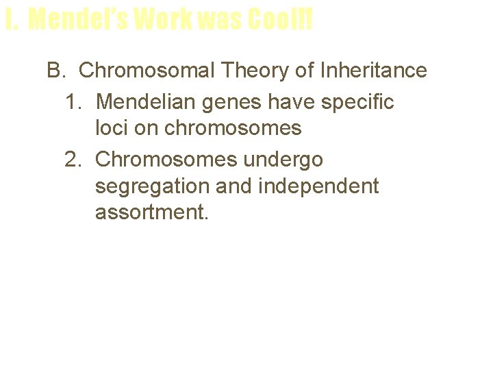 I. Mendel’s Work was Cool!! B. Chromosomal Theory of Inheritance 1. Mendelian genes have
