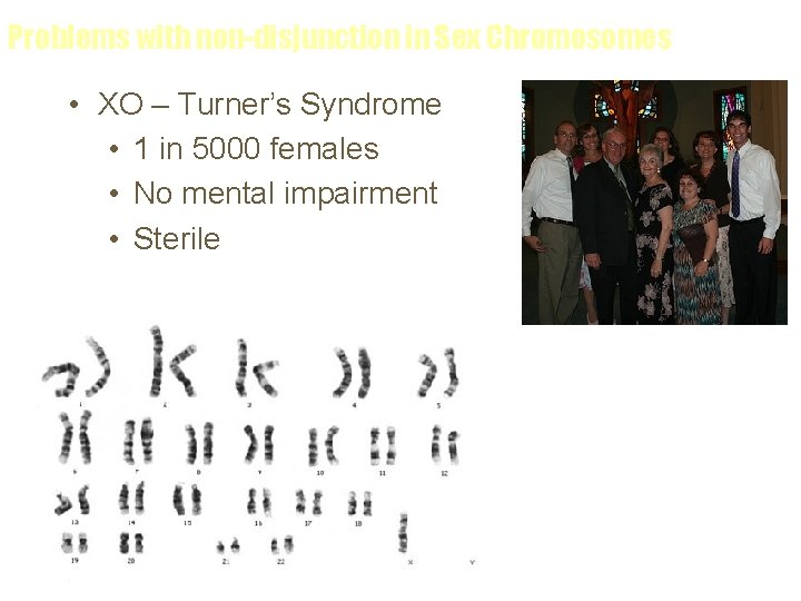 Problems with non-disjunction in Sex Chromosomes • XO – Turner’s Syndrome • 1 in