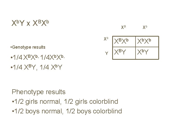 X b. Y x X B X b XB Xb • Genotype results •