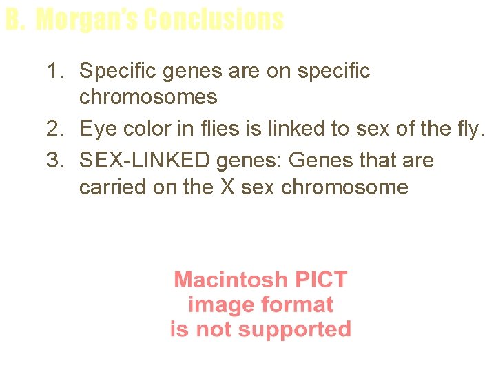 B. Morgan’s Conclusions 1. Specific genes are on specific chromosomes 2. Eye color in