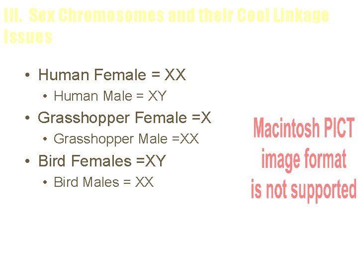 III. Sex Chromosomes and their Cool Linkage Issues • Human Female = XX •