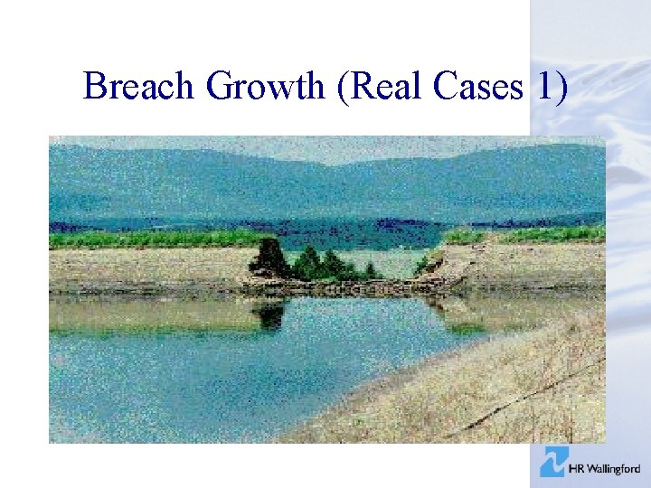 Breach Growth (Real Cases 1) 