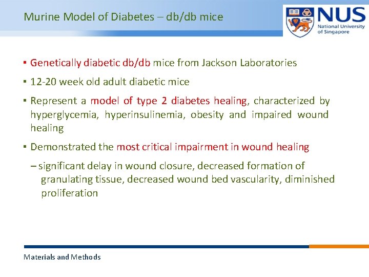 Murine Model of Diabetes – db/db mice ▪ Genetically diabetic db/db mice from Jackson