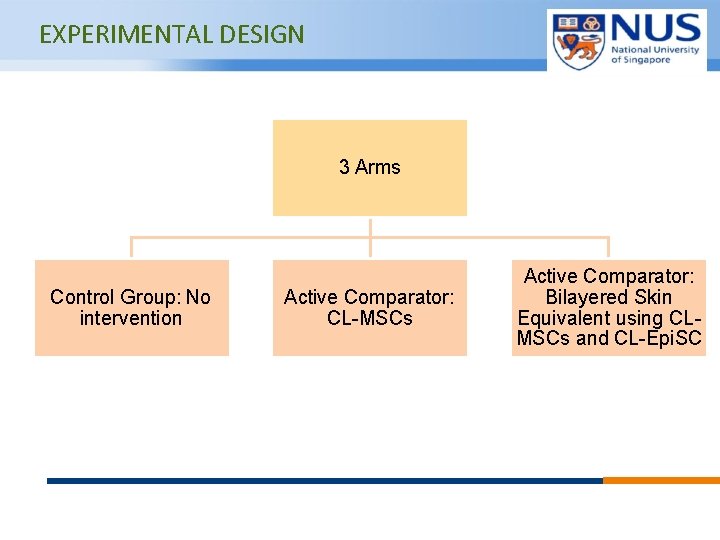 EXPERIMENTAL DESIGN 3 Arms Control Group: No intervention Active Comparator: CL-MSCs © Copyright National