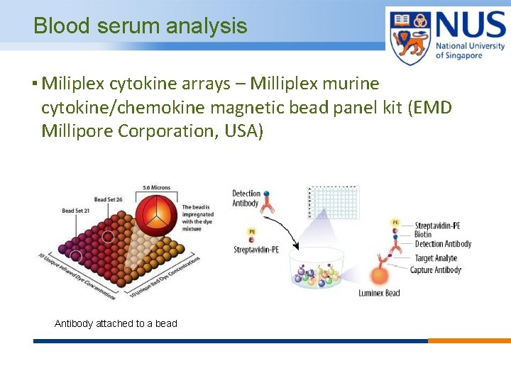 Blood serum analysis ▪ Miliplex cytokine arrays – Milliplex murine cytokine/chemokine magnetic bead panel