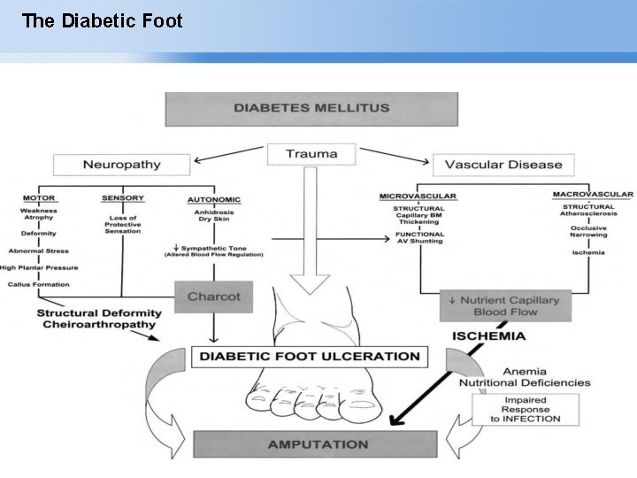 The Diabetic Foot Page ▪ 4 