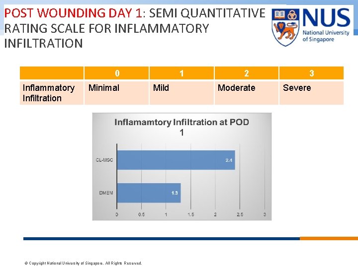 POST WOUNDING DAY 1: SEMI QUANTITATIVE RATING SCALE FOR INFLAMMATORY INFILTRATION 0 Inflammatory Infiltration