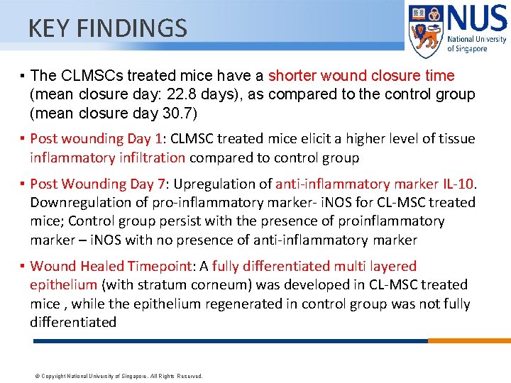 KEY FINDINGS ▪ The CLMSCs treated mice have a shorter wound closure time (mean