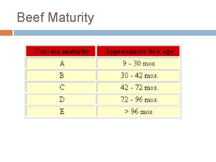 Beef Maturity 