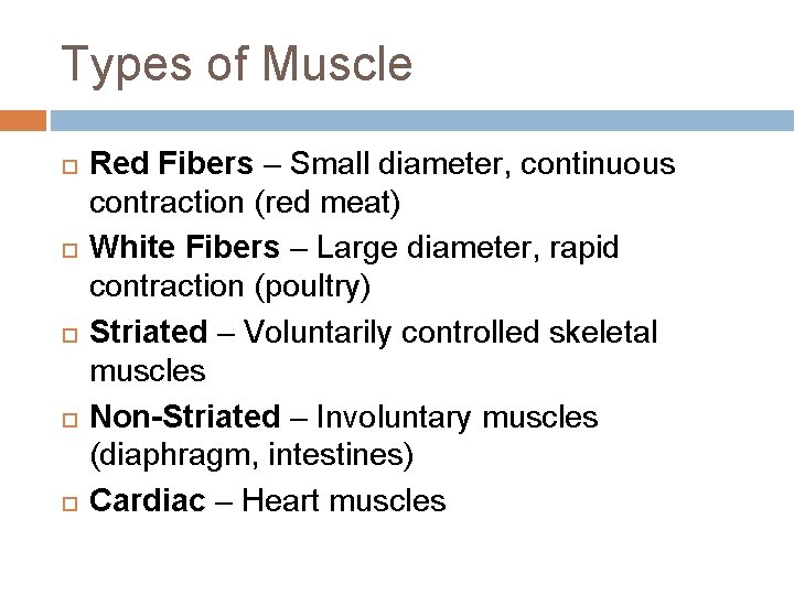 Types of Muscle Red Fibers – Small diameter, continuous contraction (red meat) White Fibers