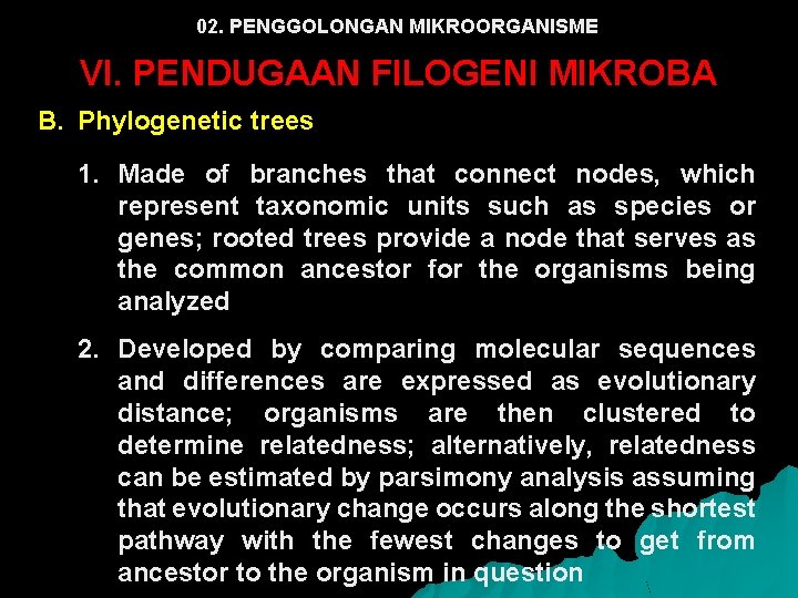 02. PENGGOLONGAN MIKROORGANISME VI. PENDUGAAN FILOGENI MIKROBA B. Phylogenetic trees 1. Made of branches