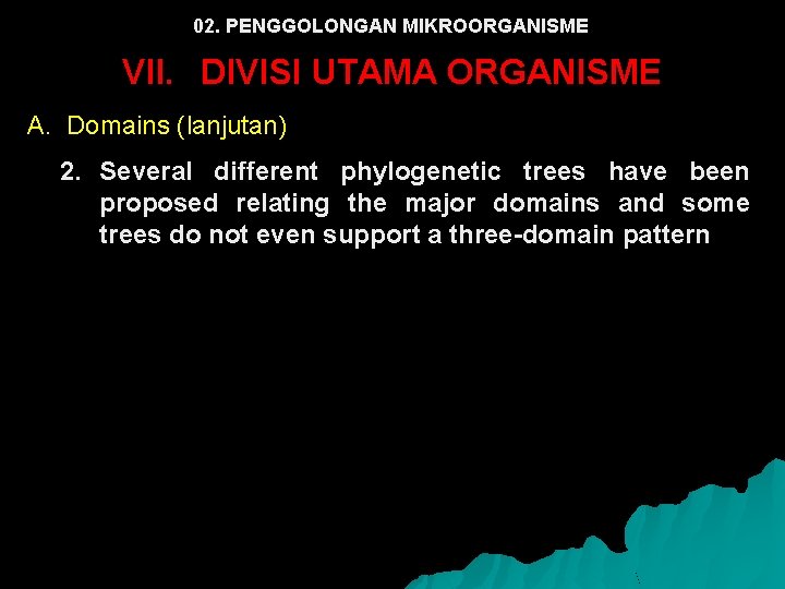 02. PENGGOLONGAN MIKROORGANISME VII. DIVISI UTAMA ORGANISME A. Domains (lanjutan) 2. Several different phylogenetic