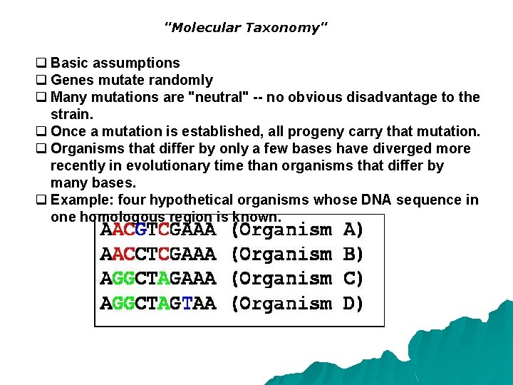 "Molecular Taxonomy" q Basic assumptions q Genes mutate randomly q Many mutations are "neutral"