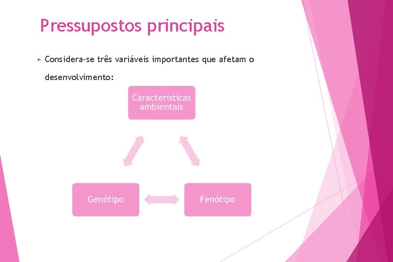 Pressupostos principais ▶ Considera-se três variáveis importantes que afetam o desenvolvimento: 