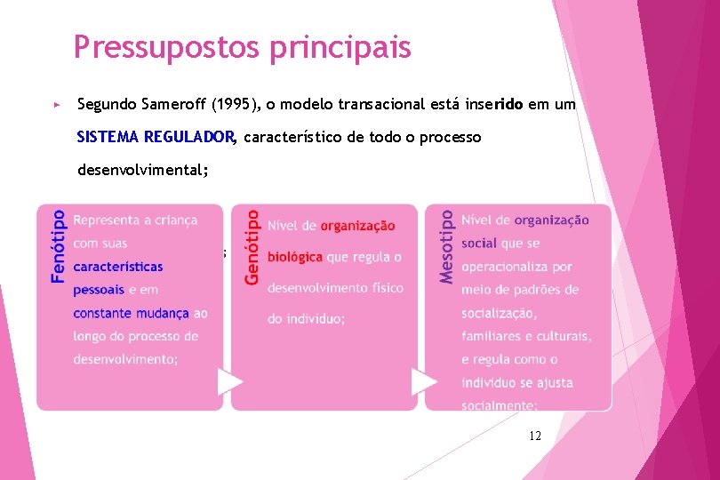 Pressupostos principais ▶ Segundo Sameroff (1995), o modelo transacional está inserido em um SISTEMA