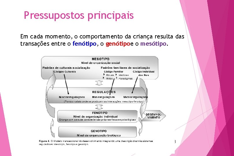 Pressupostos principais Em cada momento, o comportamento da criança resulta das transações entre o