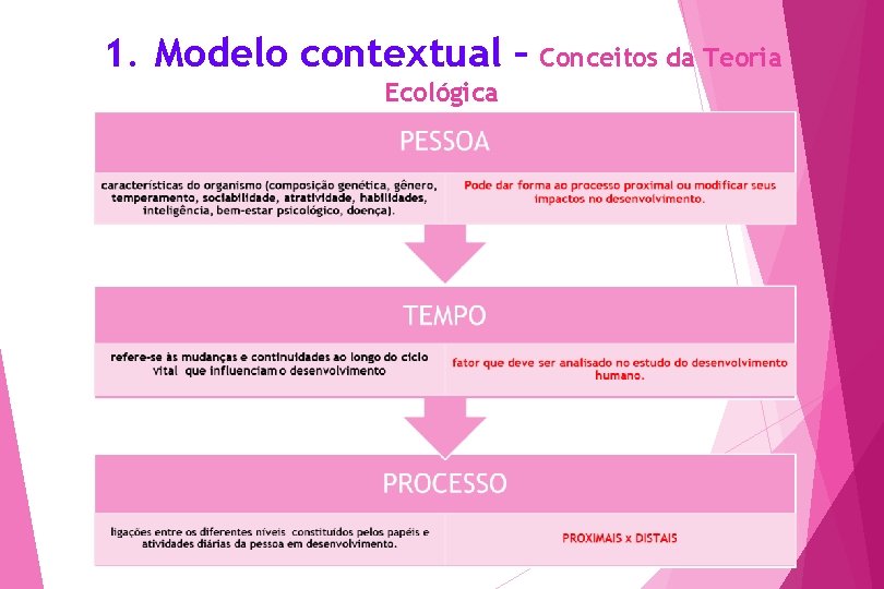 1. Modelo contextual – Conceitos da Teoria Ecológica 23 