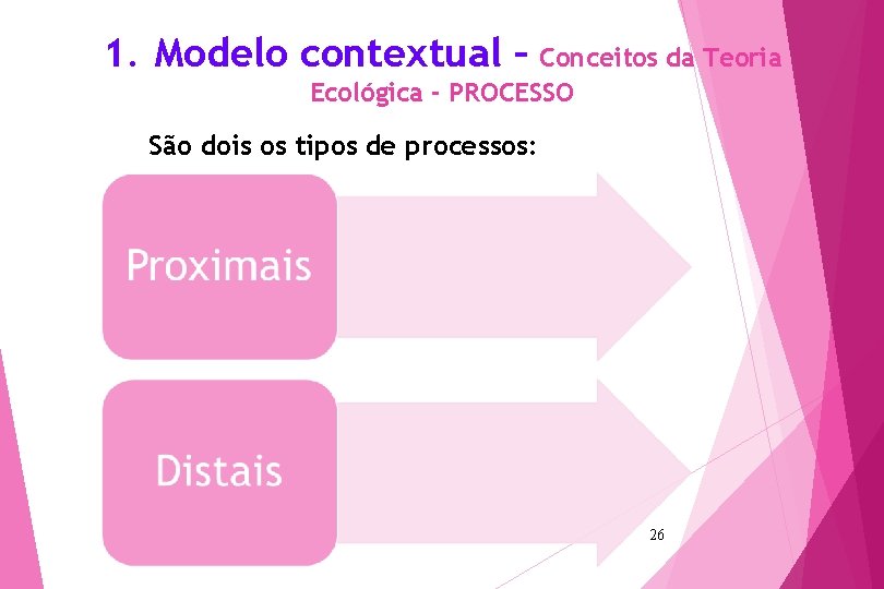 1. Modelo contextual – Conceitos da Teoria Ecológica - PROCESSO São dois os tipos