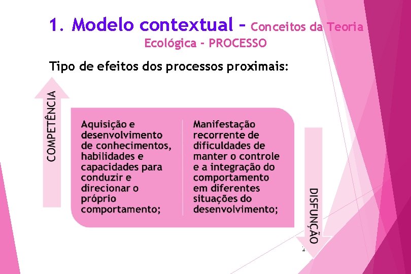 1. Modelo contextual – Conceitos da Teoria Ecológica - PROCESSO Tipo de efeitos dos